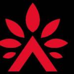 invisalignmexico Profile Picture