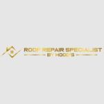 Daniel Hood Roofing System Profile Picture