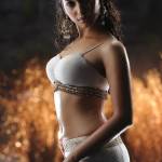 Nitu Roy Profile Picture