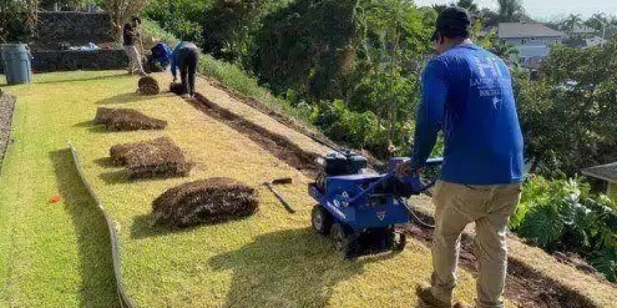 A Closer Look at the Benefits of Hiring Professional Landscapers in Hawaii