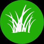green gr**** Profile Picture
