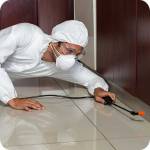 pest services Profile Picture