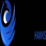 animation hawks Profile Picture
