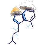 Shroom Hub Profile Picture