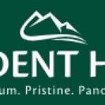 Trident Reality Profile Picture