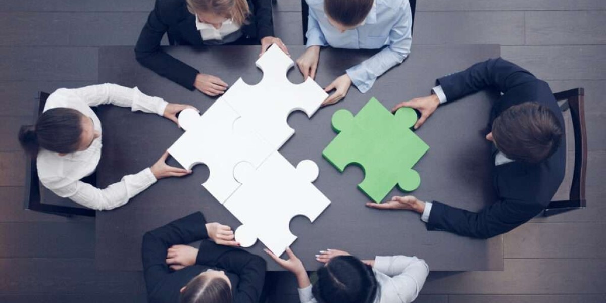 Navigating the Talent Landscape: How Sales Hiring Agencies Like PeopleLogic Business Solutions Pvt Ltd Can Elevate Your 