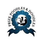 prizepoodlesanddoodles Profile Picture