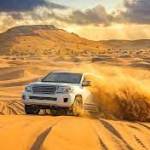 Evening Safaridubai Profile Picture
