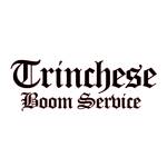 trincheseliftingcrane Profile Picture