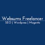 Limra seo Freelancer Profile Picture