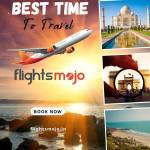 mojoflights Flightsmojo Profile Picture