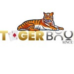 Tiger Book Profile Picture
