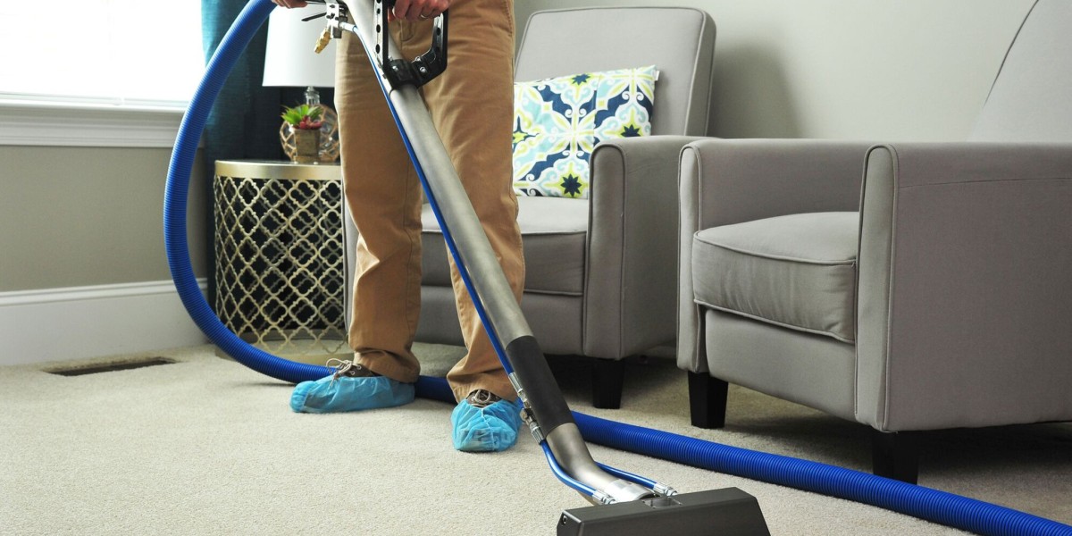 Observational Study on Carpet Cleaning Practices and Their Effectiveness