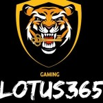 lotus cricket website Profile Picture