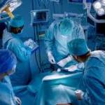 Dr Ankita Jain Profile Picture
