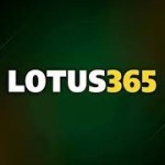 lotus 365 apk download Profile Picture